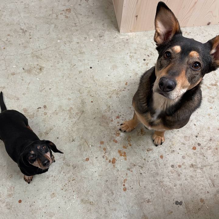 B5e37a9e d573 4e5f 8654 9e390b319634 1610995879114