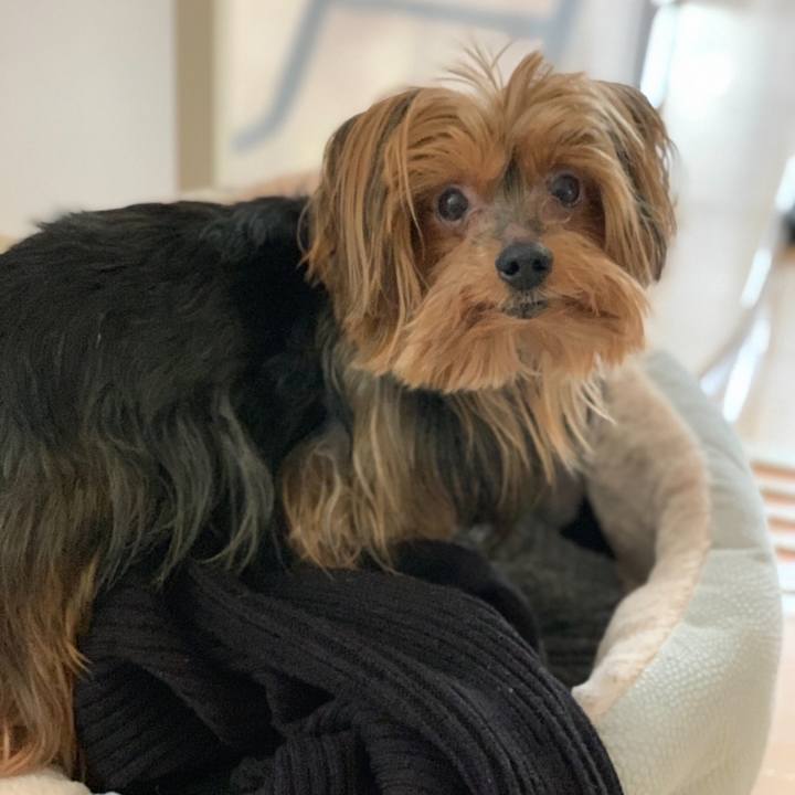 B5e38215 1de1 44f1 82e0 7b668490f962 1544832993962