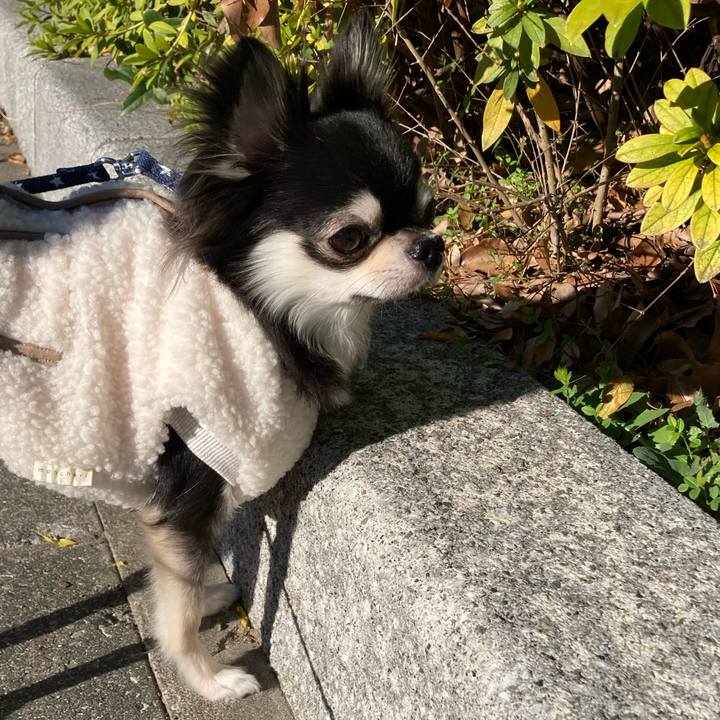 B5e38e36 33da 461c b0a6 ba82a00b0f98 1639892107296