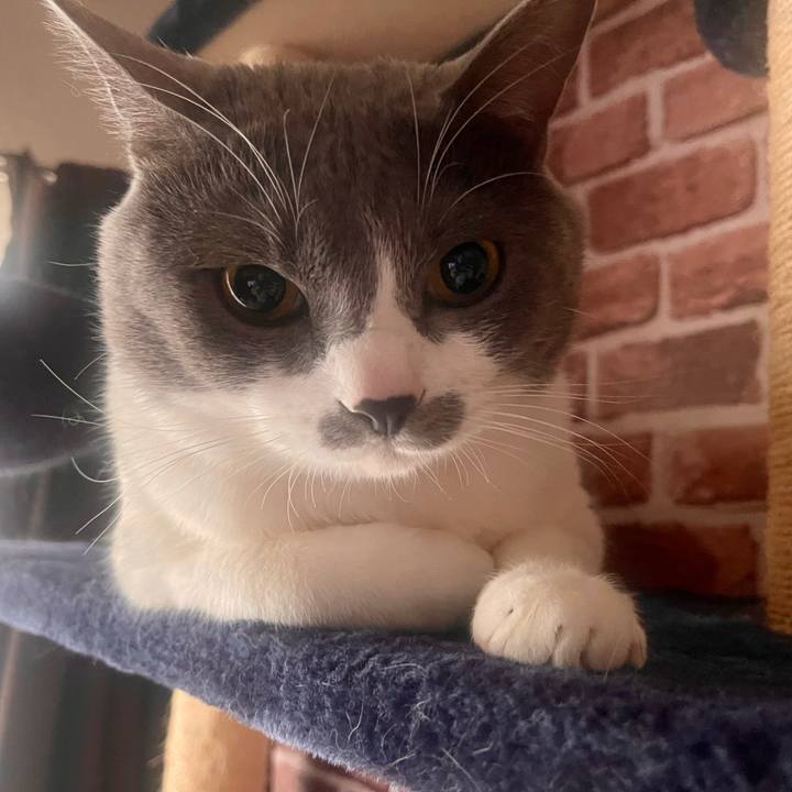 B5e3adec 8a83 4d7d aaca 8ba40b5bf976 1647558934209