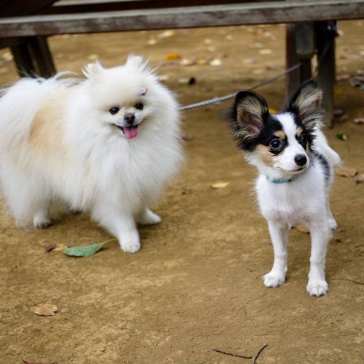 B5e3b7ef d643 41b1 9366 47b0b581a9c6 1600498226926