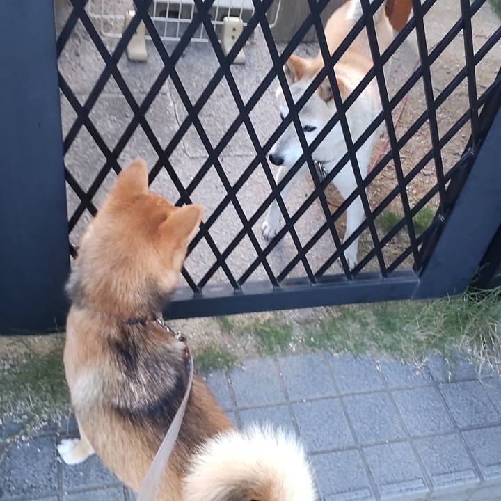 B5e3e1cb bf18 41d8 b644 3c7bda16a75d 1629887100447