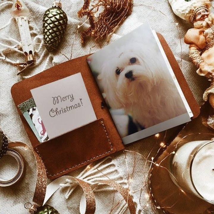 B5e401f6 66d1 464b b422 09c8345fa762 1545632867150