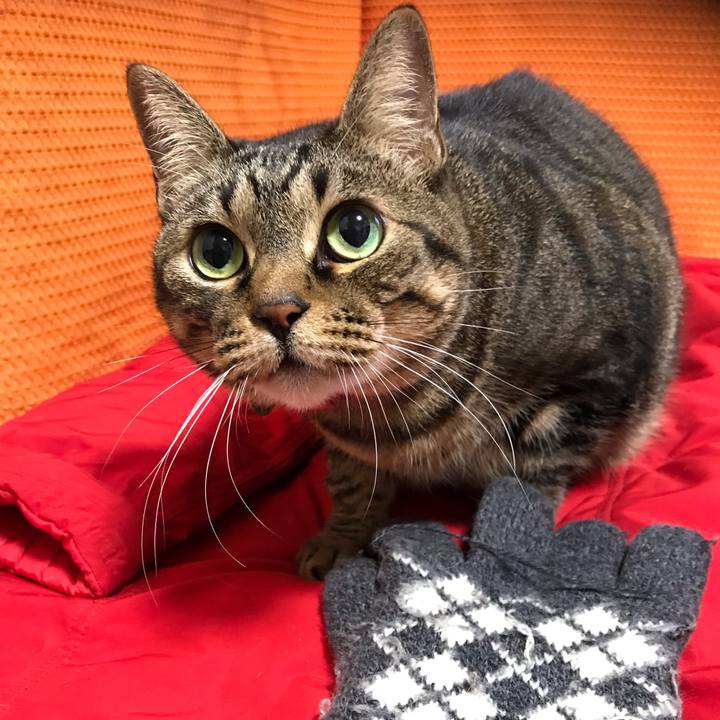 B5e448a1 bd58 4714 a8c1 14b6fc8dd21e 1578152105997