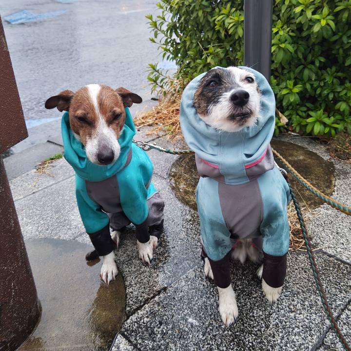 B5e47720 cd97 41e0 ae19 495874b03365 1740952771993