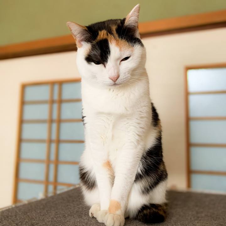 B5e4b1ee e0a0 44e5 a4d2 bb8908d34a9e 1588903409409