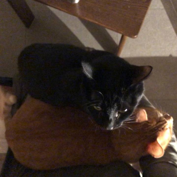 B5e4d095 f96d 473f 9478 49f400be25dc 1670938368957