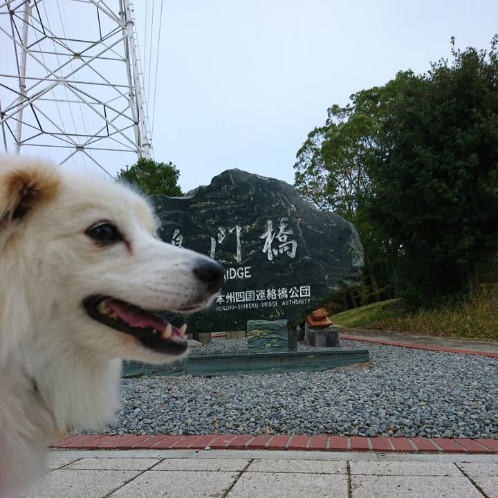 B5e4def0 c784 4d5a b339 42f87a8880bc 1541744647089