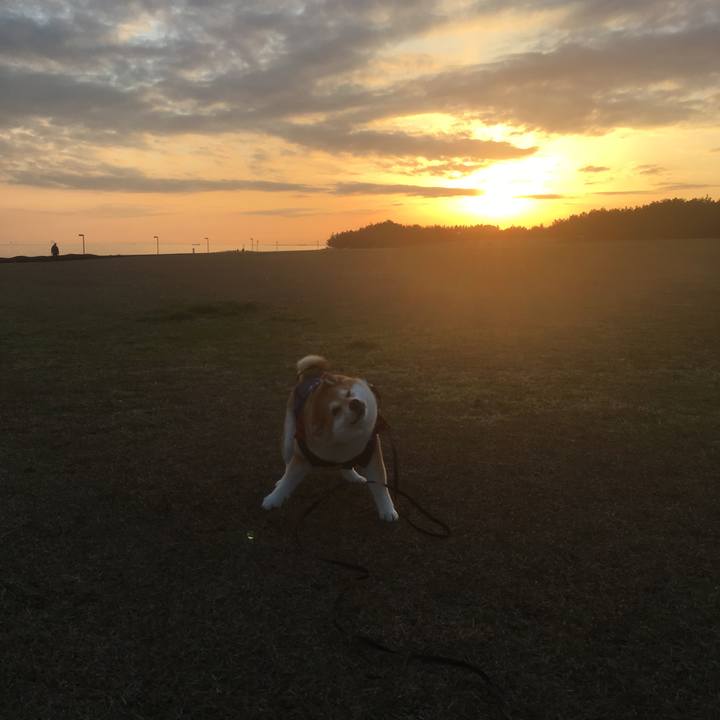 B5e4edcd 55a4 489d ac14 46ac01bd5153 1545381939333