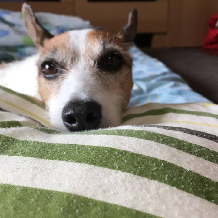 B5e4efe6 e1d7 465f bdc3 fff9da420edd 1565648317135