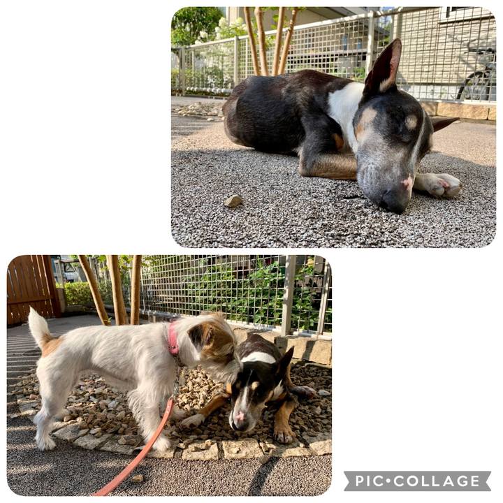 B5e4f0ed bf95 446c bb2a 9e5683751d4b 1627261875179