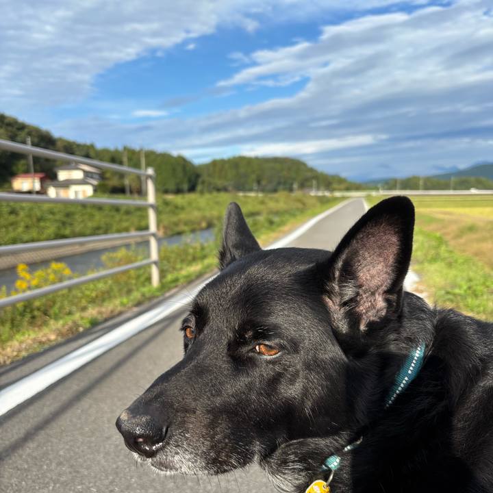 B5e500c9 c99d 4b63 b253 1520eaeb7530 1760836147254