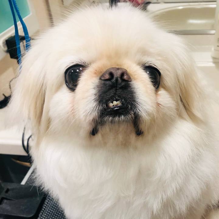 B5e50a60 3d86 4f69 a992 3946f9a52f8e 1621238639045