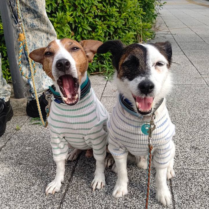 B5e521fd 695e 4eb5 9158 71a19930aee4 1719439191507