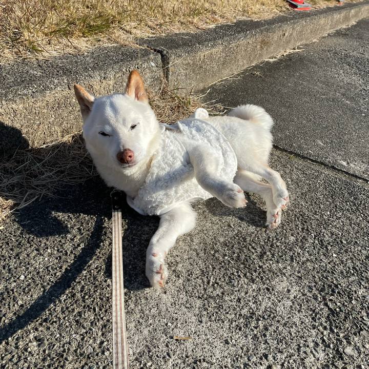 B5e544eb 6e80 4604 a0dc 420ef6eca855 1642127588149