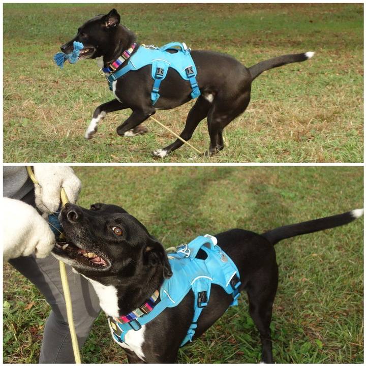 B5e54a2e 3acc 426e aa58 493e5a39b765 1635121830368