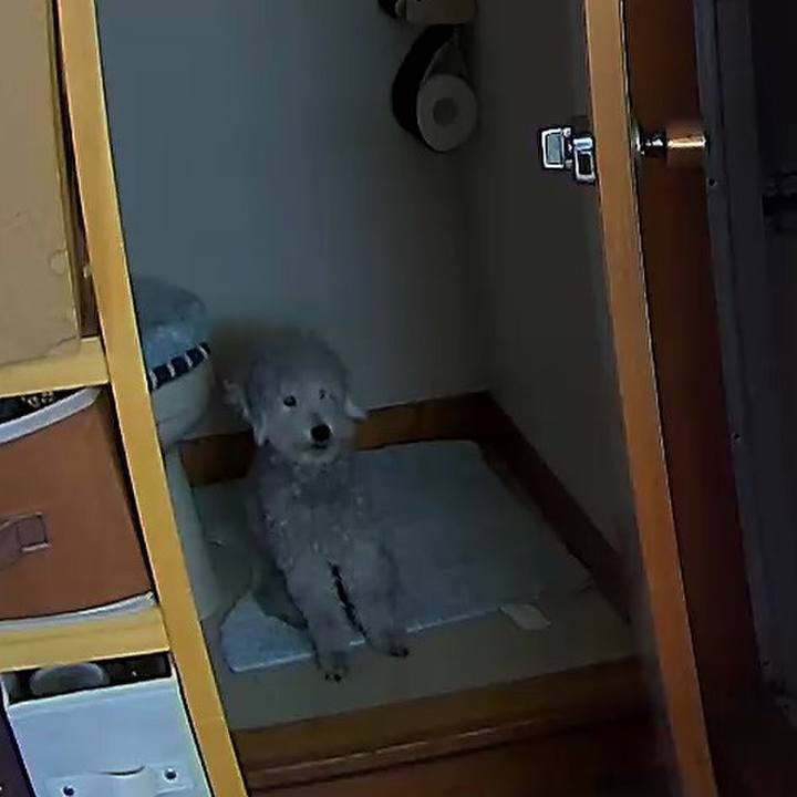 B5e5818e 745c 4a06 a73e 732a1bc7abd7 1597732898518