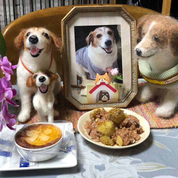 B5e59199 75cb 4efa 82a5 2f85a0ad700f 1534156037583