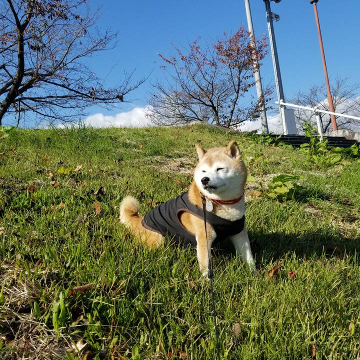 B5e599aa e2f1 4644 9664 ad17aef3a6fe 1731472504502