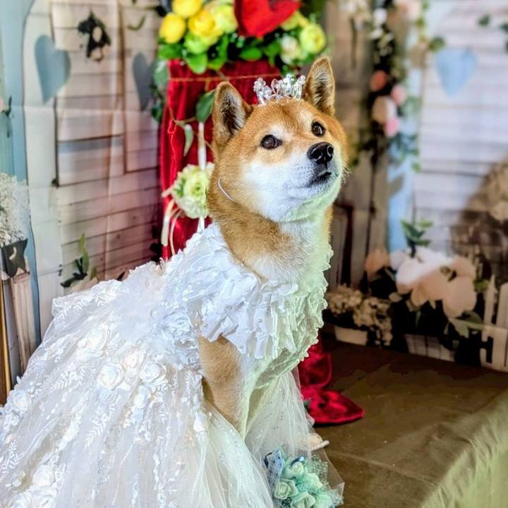 B5e5f6b9 0535 4231 9131 986a41e32b51 1747193259035