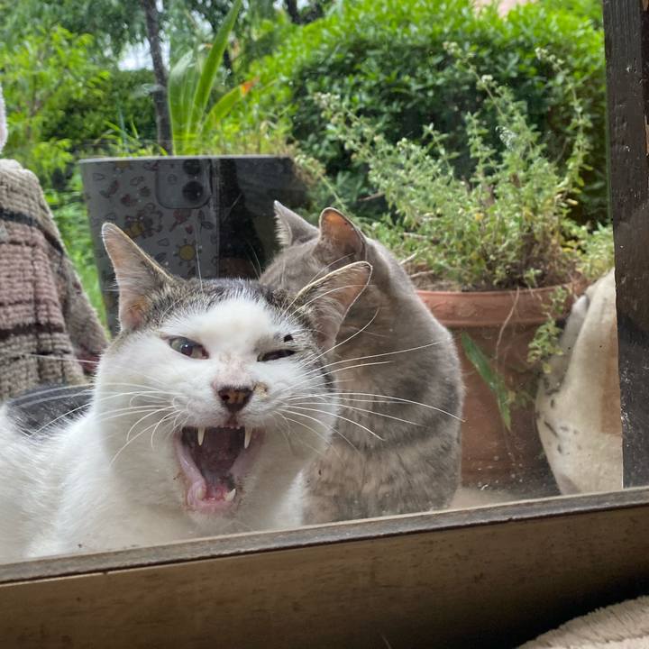 B5e6173b 5e4a 424b 849d dcdb2d0d31ba 1592125150213