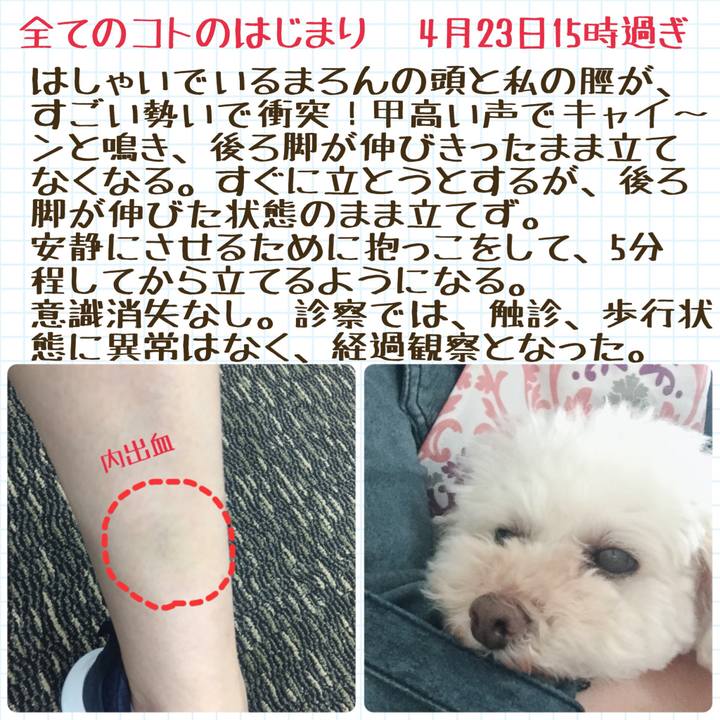 B5e63260 cf6d 4970 a63c bb1a13dd4c32 1526343325619