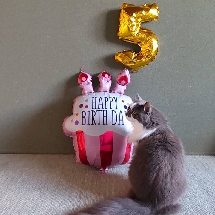 B5e633b7 fa5c 45e5 aab1 1e33b2422fba 1714706267115