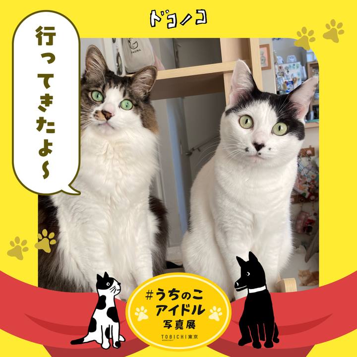 B5e63a11 7cf9 4664 b293 e5ebf6ff8bea 1761911831682