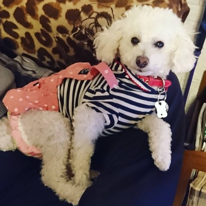 B5e6441d 85dd 4ec0 9c14 08909ff6df3b 1554112540885