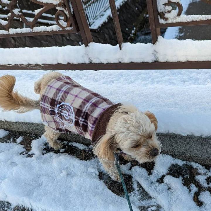 B5e65d80 aaf0 4935 bcbe 480f1313da0f 1642119896401