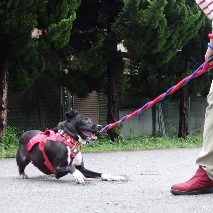 B5e670af ebcc 4938 b122 47f31bc40e3d 1592821097410