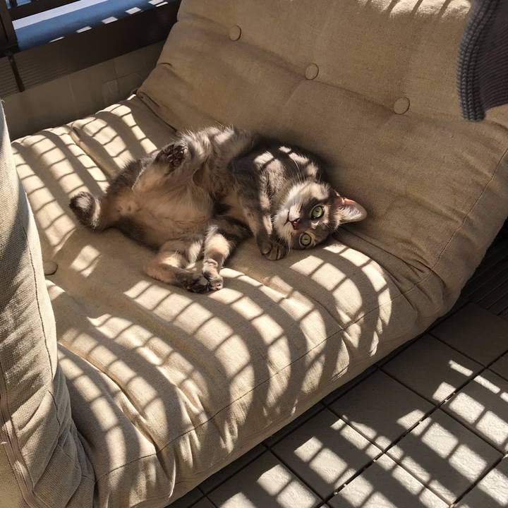 B5e67ad6 eeac 4bee 9305 19543aaba668 1541513316306