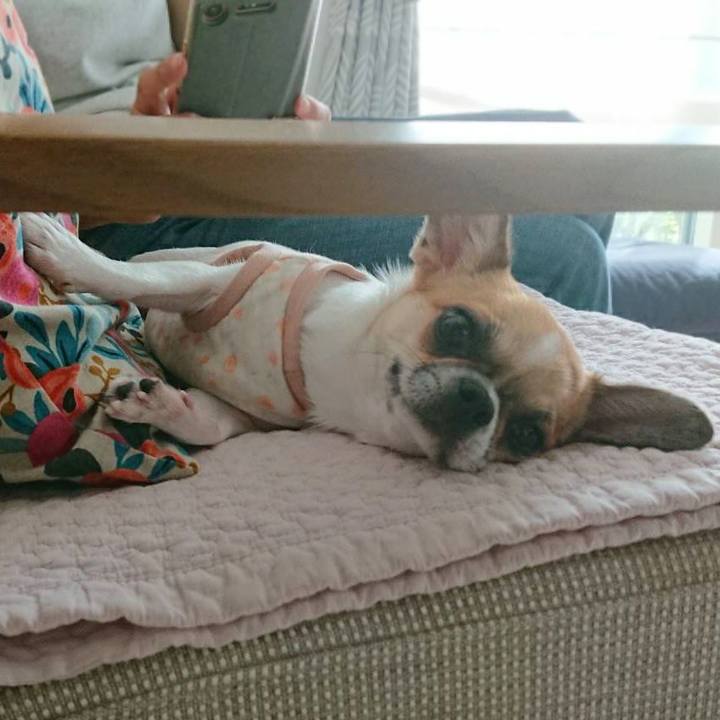 B5e693e0 c8e2 4d56 ad44 d436bf0941fb 1569309406225