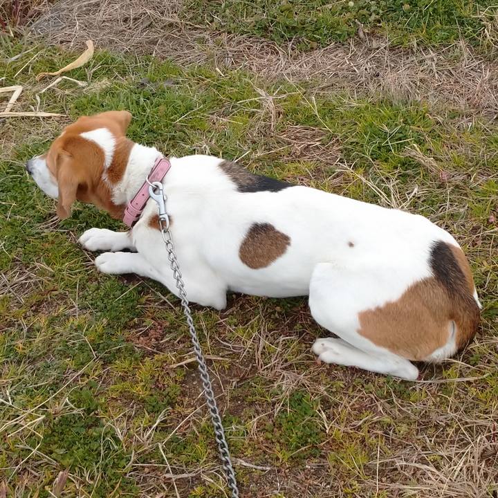 B5e6abb3 92f6 4c4f a618 b90b1f16a123 1580018347092