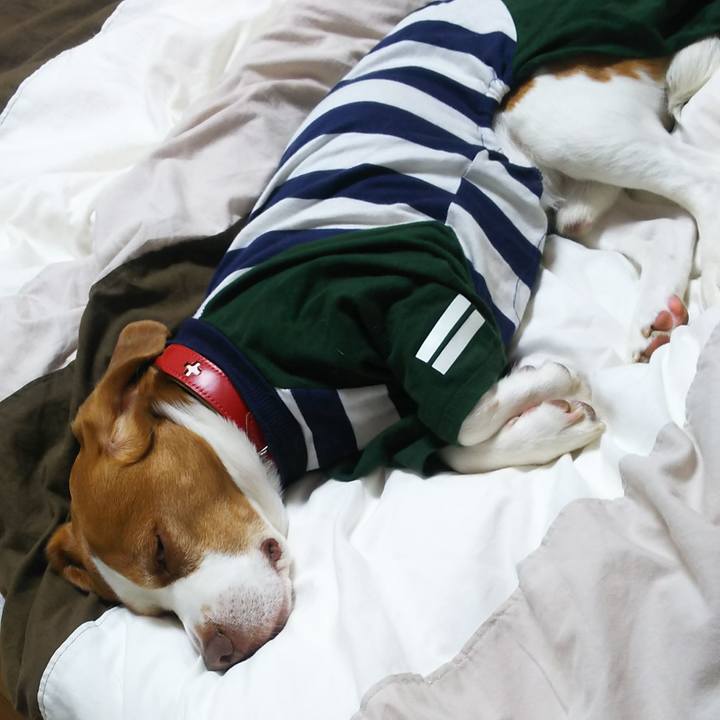 B5e6b095 71eb 4cb0 9684 20a089e33cc1 1618328793352