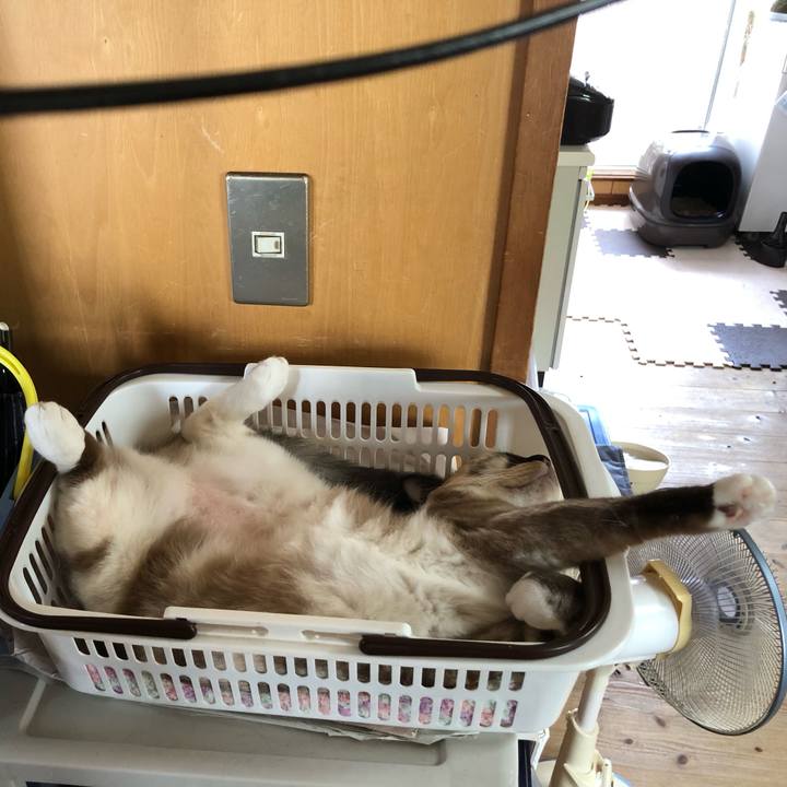 B5e6ba23 6f44 4c13 ab70 be6c731399ce 1688648000228