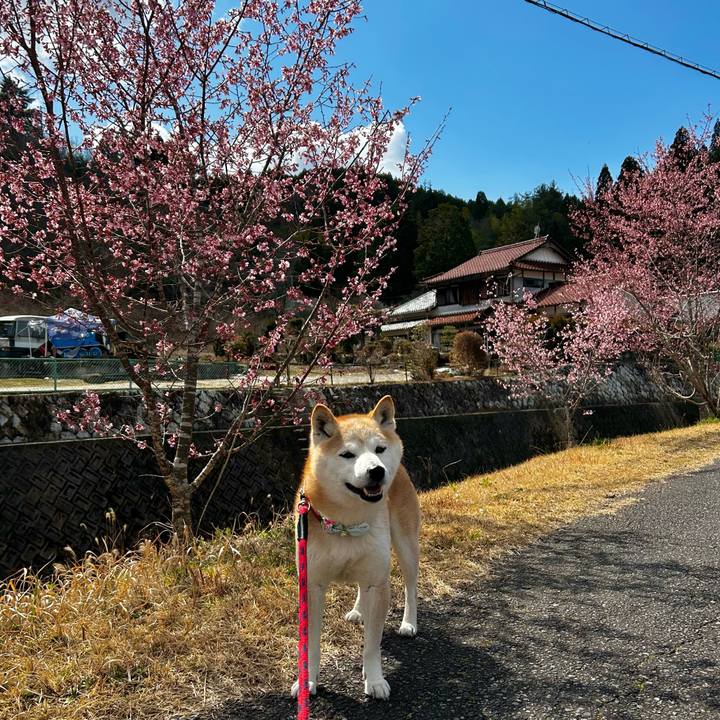 B5e6ccff 7f4b 49e5 bf82 f52584ebfc09 1774263542851