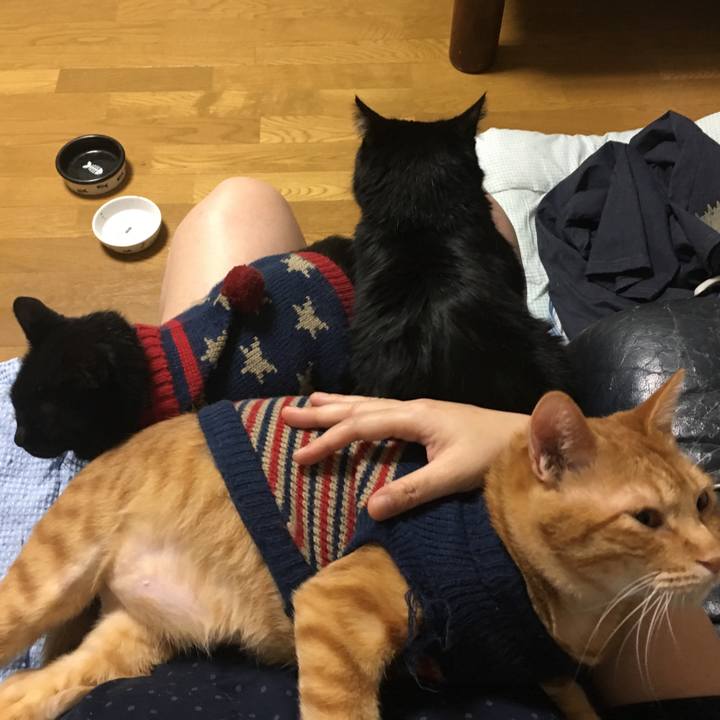 B5e6e05c 5102 48d5 a118 6ea79c180217 1541507595504