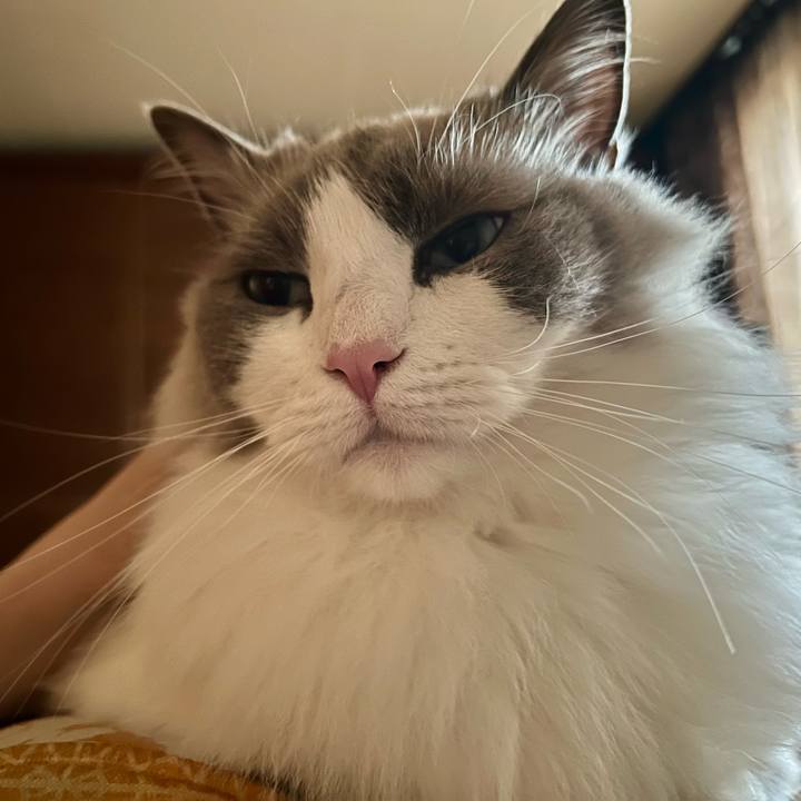 B5e6f036 1a12 43d8 9740 fca85fcb90ba 1648782068662