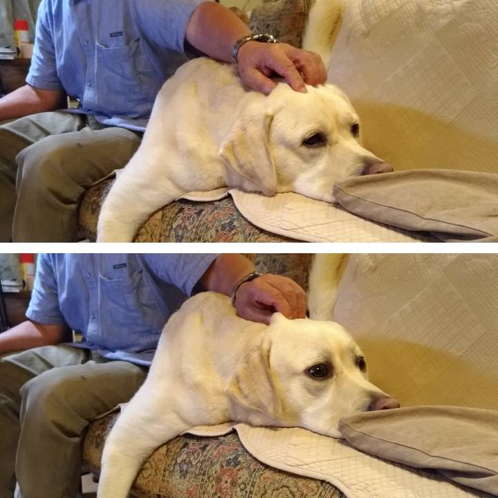 B5e718eb 9d43 464e a1cf 18929b0f692d 1566751999542