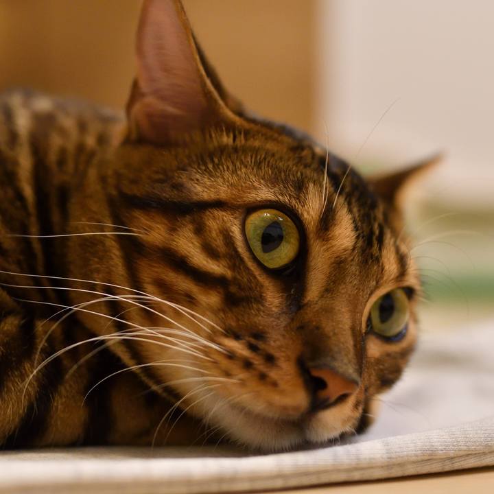 B5e7241e bd3c 4b31 a395 0d9160a19689 1511101475706