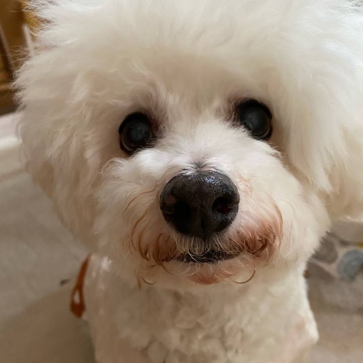 B5e732ee 46b6 4040 a832 6b0109b280ff 1693798953454