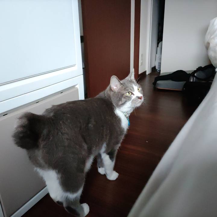 B5e75058 a35b 4b81 8a06 92956764d5d7 1719557308092