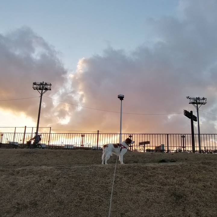 B5e75ce2 9e4c 4265 869f 3ddc54a498d4 1579598297472