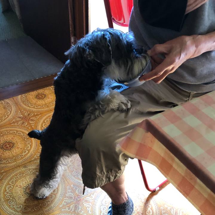 B5e7b101 245f 4a2d b05a a9b9d67394fd 1665887110085