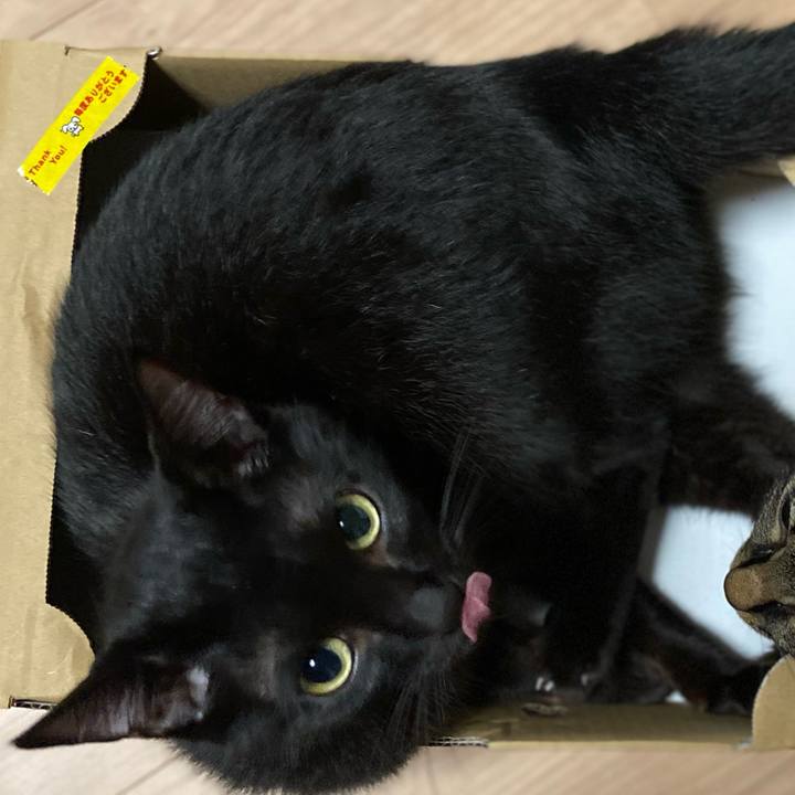 B5e7c019 c127 476e aeab e66d0320d6e1 1664192995957