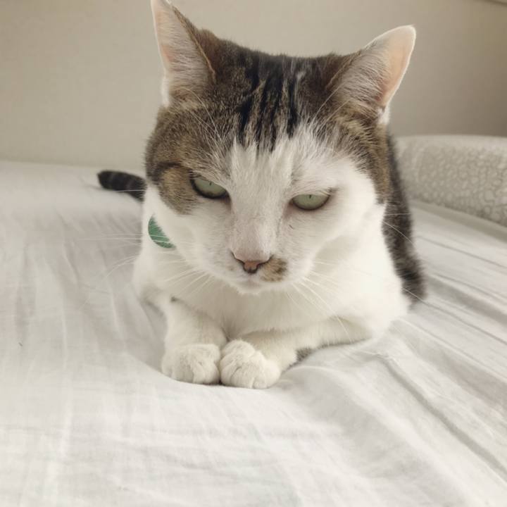 B5e7d47a c1bd 4d68 9c19 10eb6d9f4b66 1561107842484