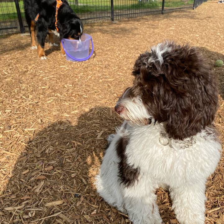 B5e7f4b8 be94 49ef 9411 63bbb510d975 1618008429459