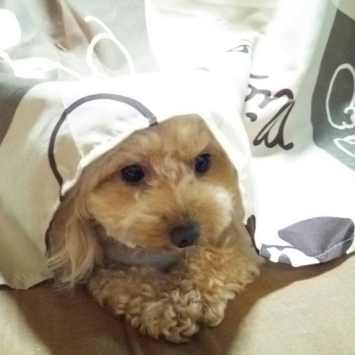 B5e86248 2106 4065 9085 e931ca1f1f82 1540559997205