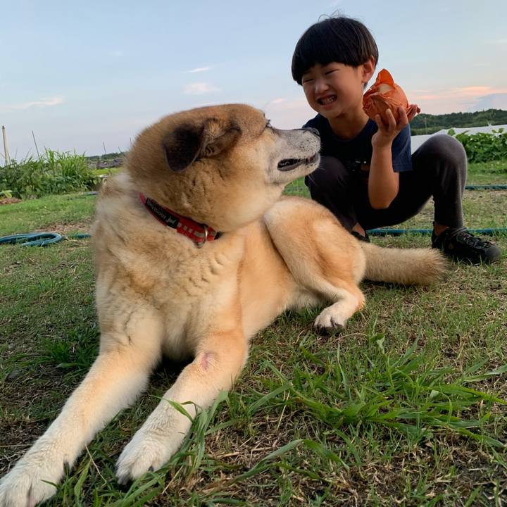 B5e882ff e6f4 40d2 80ba 9db1da20291e 1627035400971